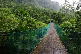 blog-image