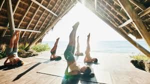 Clinictor - Exploring Wellness and Detoxification in Australia A Comprehensive Guide