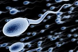 Clinictor - Egg and sperm donation Brazil