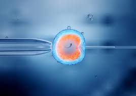 Clinictor - Egg and sperm donation India