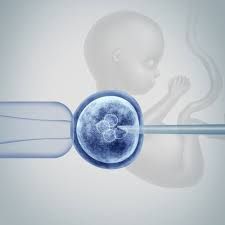 Clinictor - Egg and sperm donation Thailand