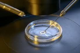 Clinictor - Exploring IVF Opportunities in Brazil, A Comprehensive Guide