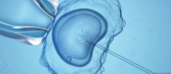 Clinictor - Germany, A Leading Destination for IVF Treatment