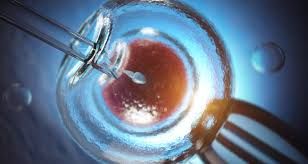 Clinictor - IVF Mexico