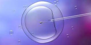Clinictor - IVF Turkey