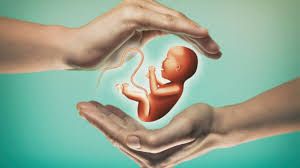 Clinictor - Step-by-Step Guide to Your IVF Journey Brazil
