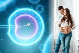 Clinictor - Step-by-Step Guide to Your IVF Journey India