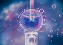 Clinictor - The Comprehensive Guide to IVF Treatments in Mexico