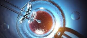 Clinictor - Why Colombia is Emerging as a Leading IVF Destination