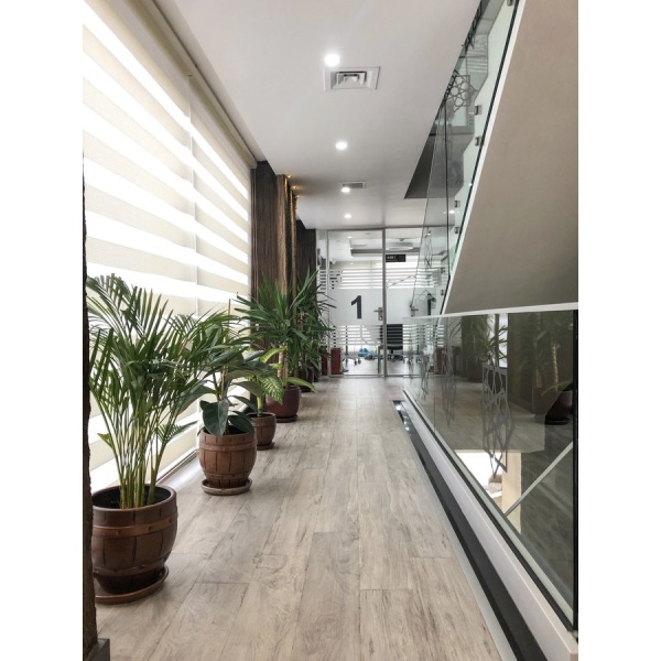 alyans clinic - Clinictor