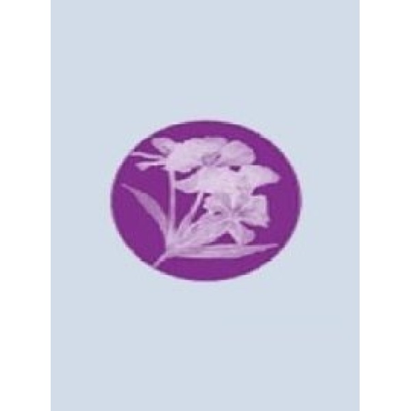 Anita's Beauty Works - Clinictor