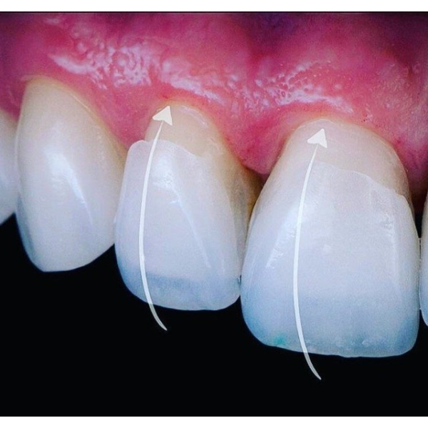 Dental Clinic Dr.Korotkova - Clinictor