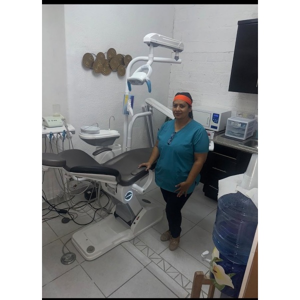 Dental Garden - Clinictor