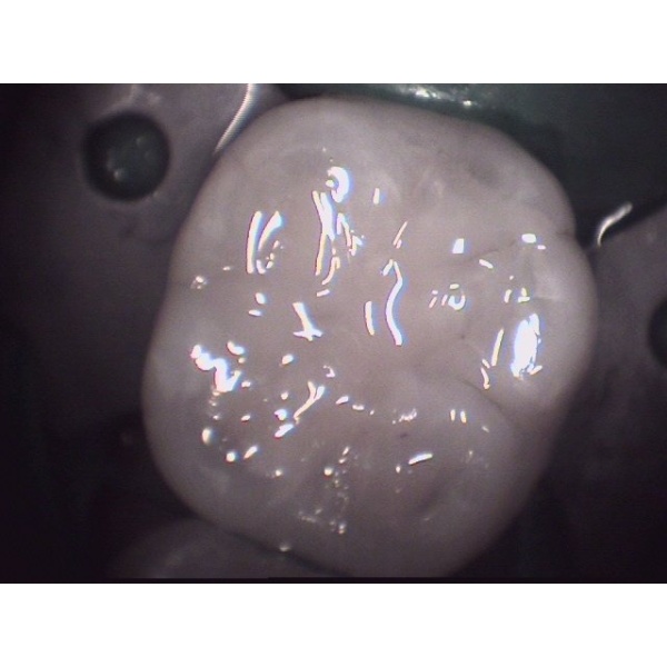 Dr Yogi's Chennai Dental Care - Clinictor
