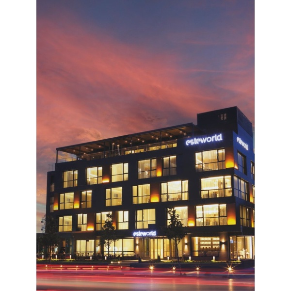Esteworld - Complex - Clinictor