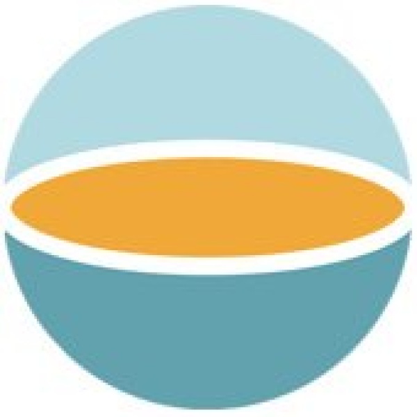 Gastric Balloon Group - Clinictor