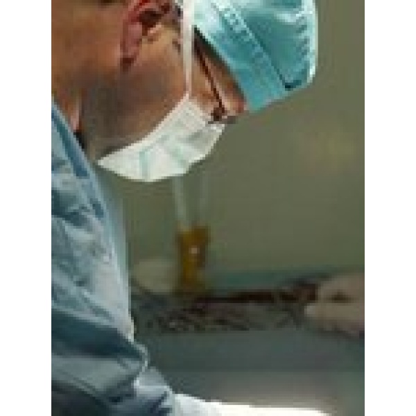 Health Improvement Tours - Clinictor