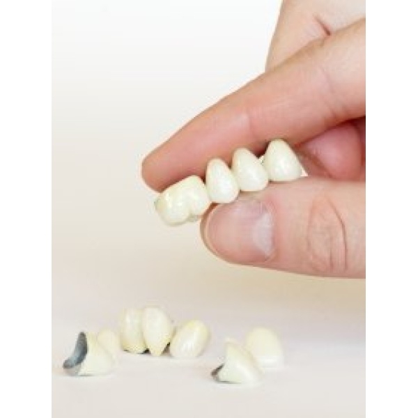 Nader Dentall Care - Clinictor