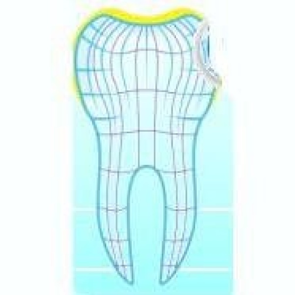 Odontología Especializada - Clinictor