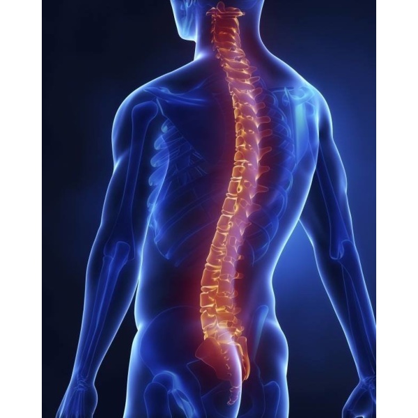 Pain Free Orthopedic & Physiotherapy - Clinictor