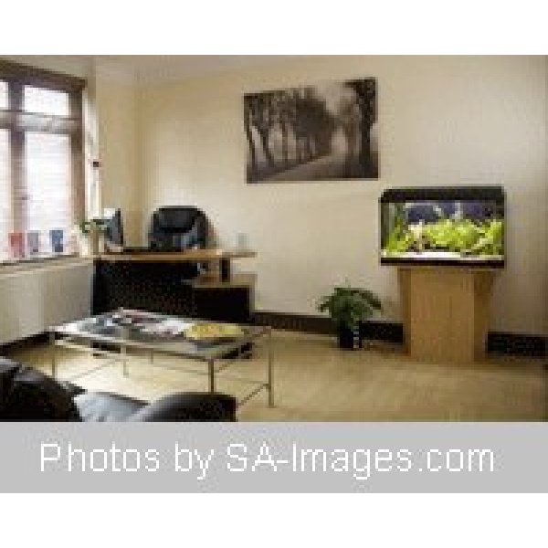 Pegasus Clinics - Clinictor