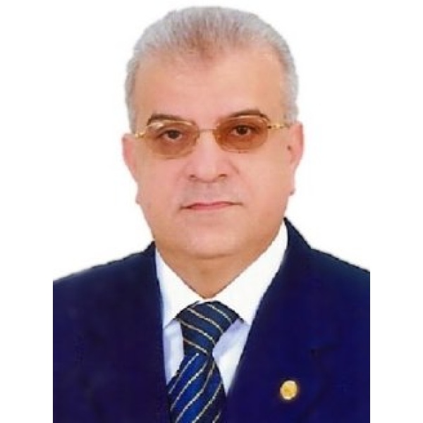 Prof. Hisham Hussein Imam, MD - Clinictor