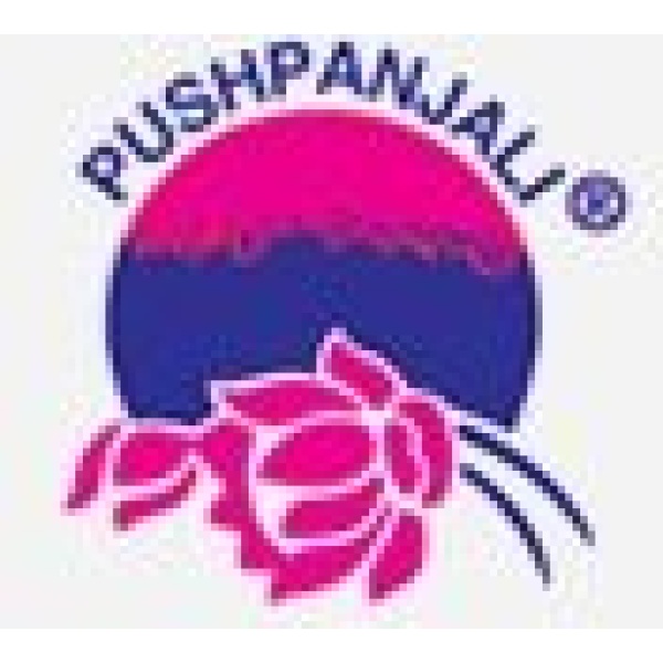 Pushpanjali Hi-tech Rehab Center - Clinictor
