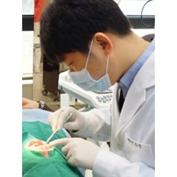 Seoul Prime Dental Clinic - Clinictor
