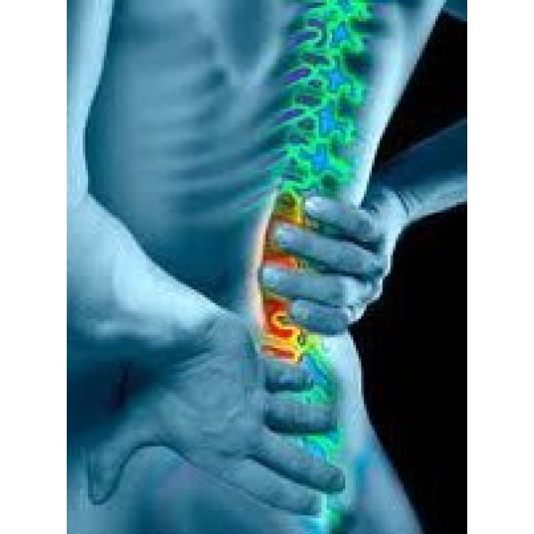 Spine Care & Ortho Care - Clinictor