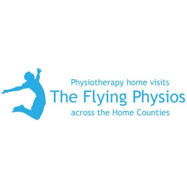The Flying Physios - Clinictor