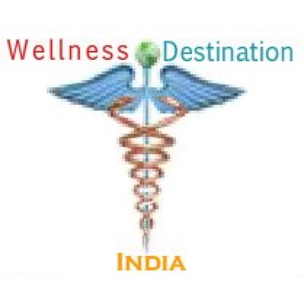 Wellness Destination India - Clinictor